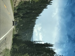 Driving into Dixie NF2